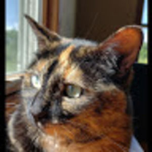 Meet your Posher, Abby